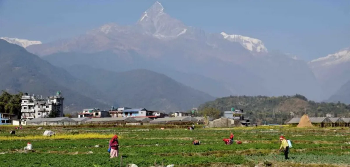हिउँदमा नेपालका हिमाल किन हिउँरहित देखिँदैछन् ?