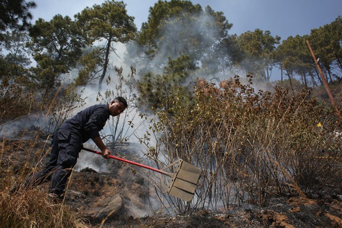 दक्षिणकाली हात्तीवन क्षेत्रको आगलागी नियन्त्रण गरिँदै