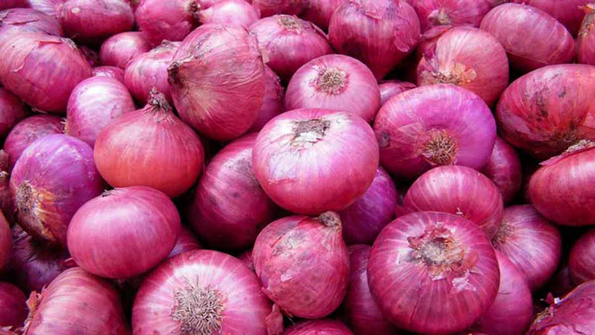 प्याजले उचित मूल्य नपाउँदा किसान सस्तोमा बेच्न बाध्य