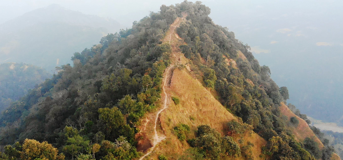 काल बन्दै कर्णालीका भिरपाखा र रूख,